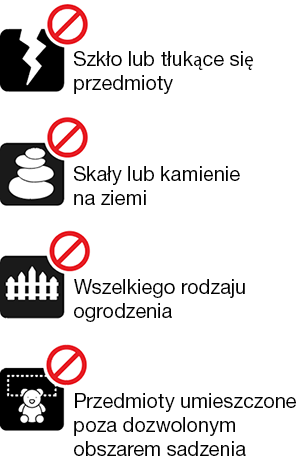 Icons Polish