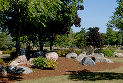 Scattering Area with Boulders