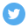 Twitter Icon