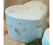 Bio-degradable cremation urn.