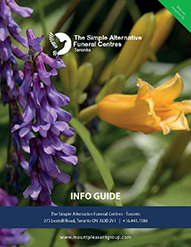 TSA Toronto Info Guide