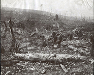 Remembering the Battle of Beaumont-Hamel